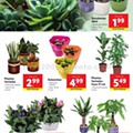 Antevisão Folheto LIDL Promoções de 20 a 26  julho d24.jpg